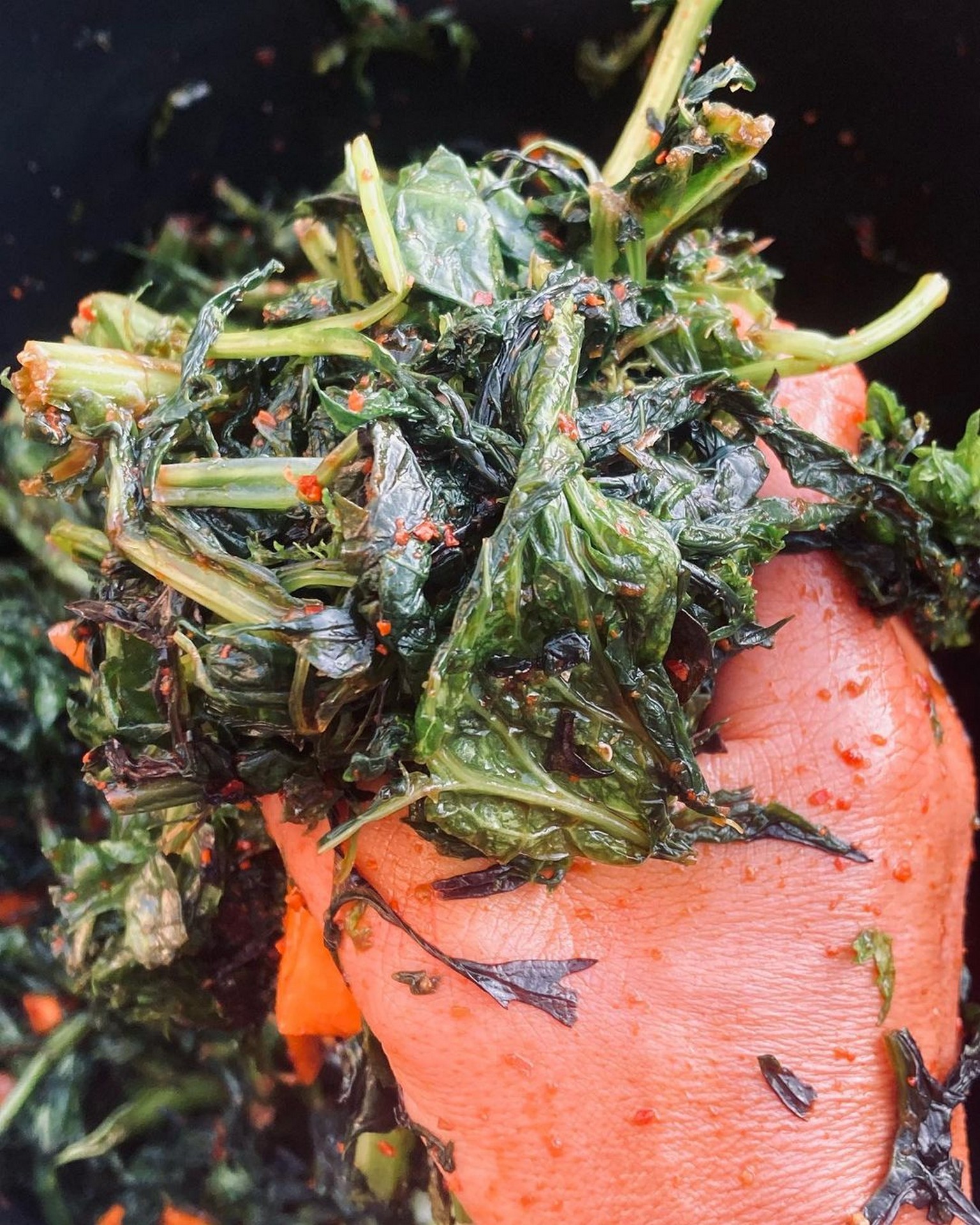 351405746 274200011723496 6099168384559432780 n